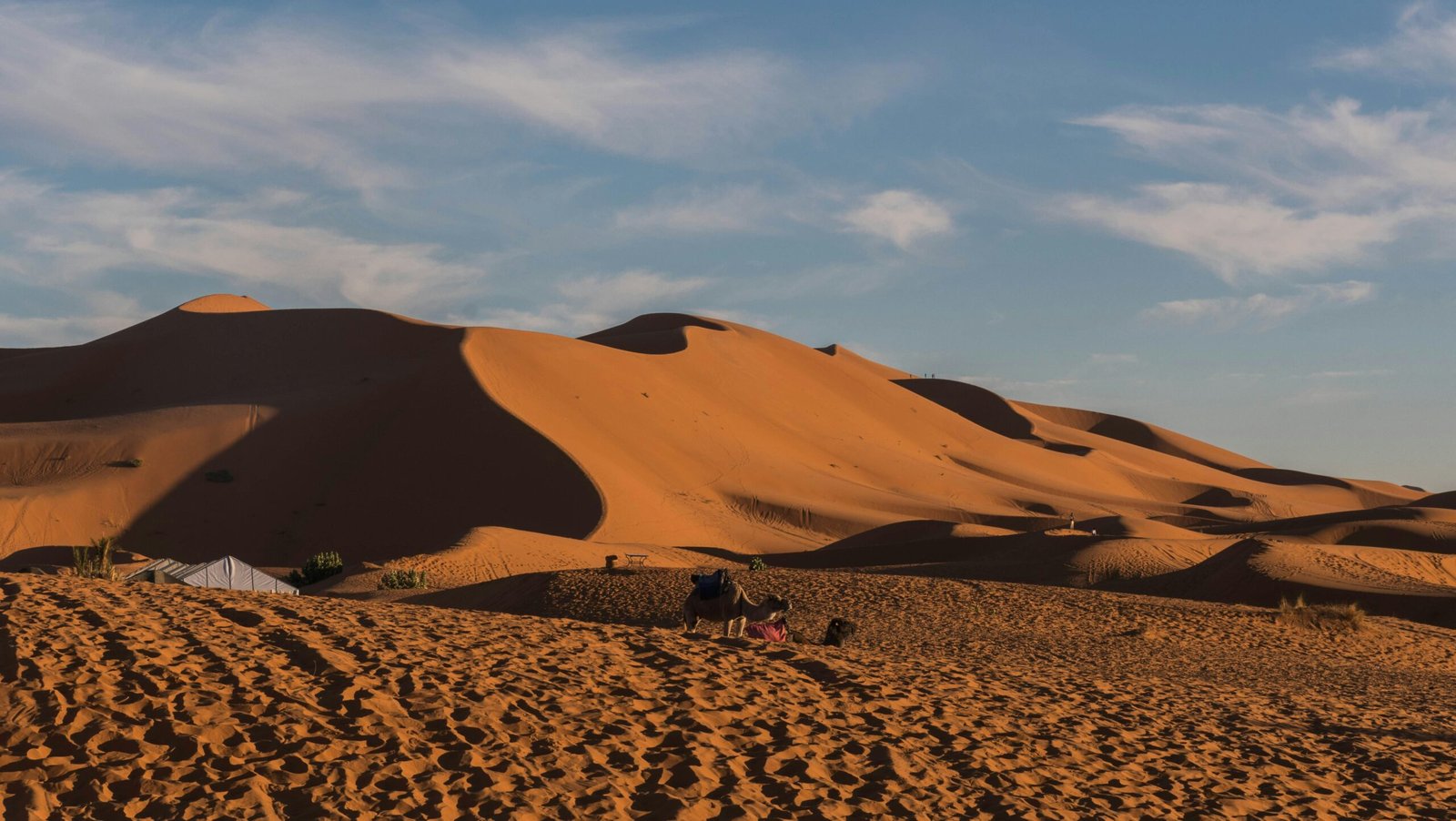 a group of people sitting on top of a sandy hill